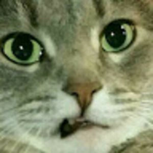 Meet your Posher, Robert